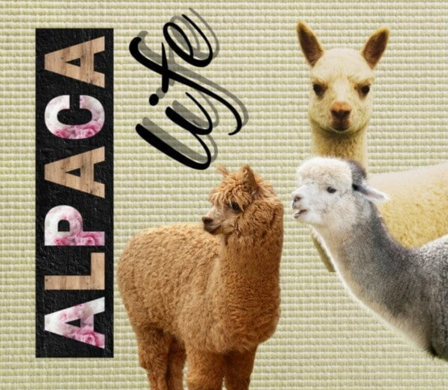 Alpaca Drink Tumbler