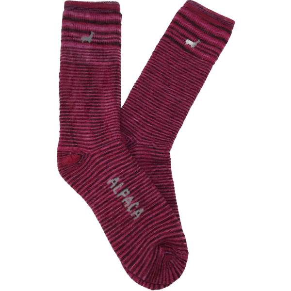 Everest Outdoor Baby Alpaca Socks
