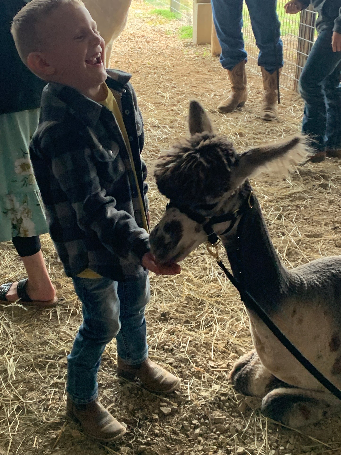 Guided Farm Tour