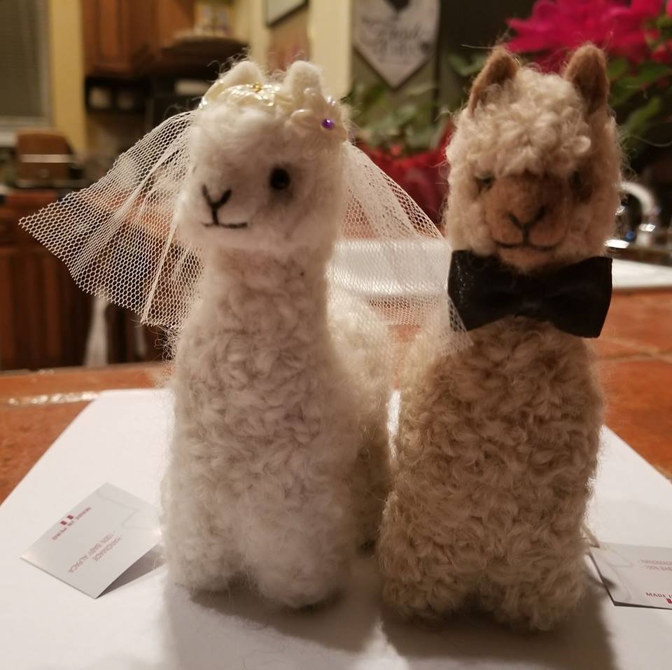 Alpacally Ever After Bride and Groom
